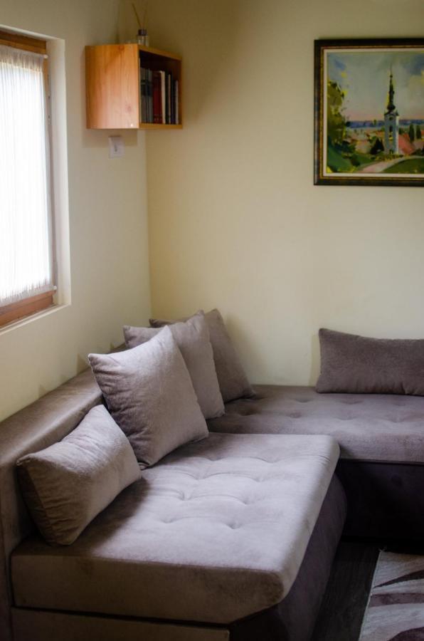 Brvnare Ala Vrdnik Villa Bagian luar foto